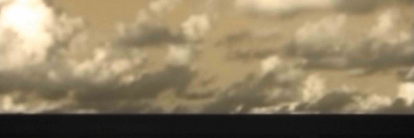 picklegirl33 Profile Banner