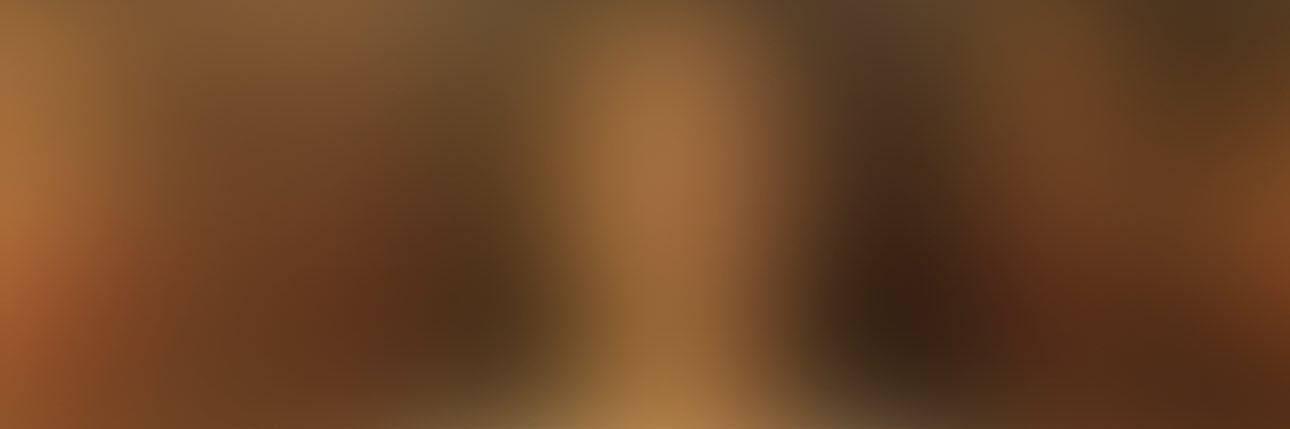 leenavoski's profile banner image