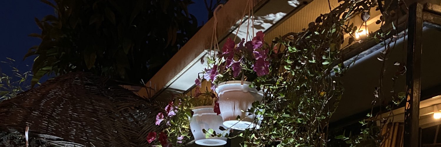 eliifp_'s profile banner image