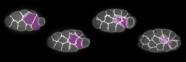 TMedwigKinney Profile Banner