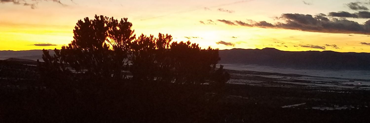 Danielle_Foreva's profile banner image