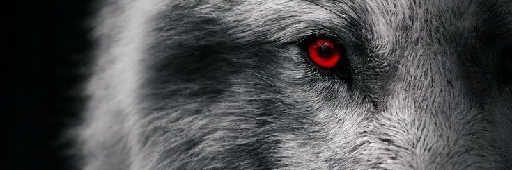 ammoojoon's profile banner image