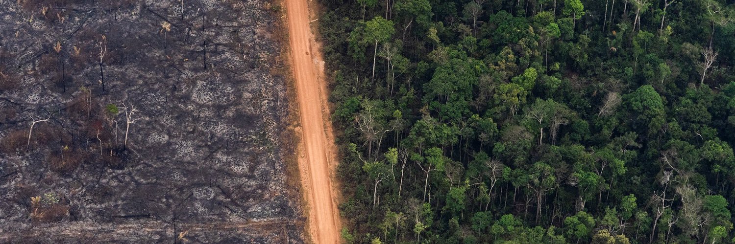 Victor R. Caivano banner