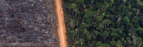vcaivano Profile Banner