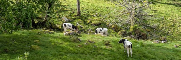 EngneeRec Profile Banner