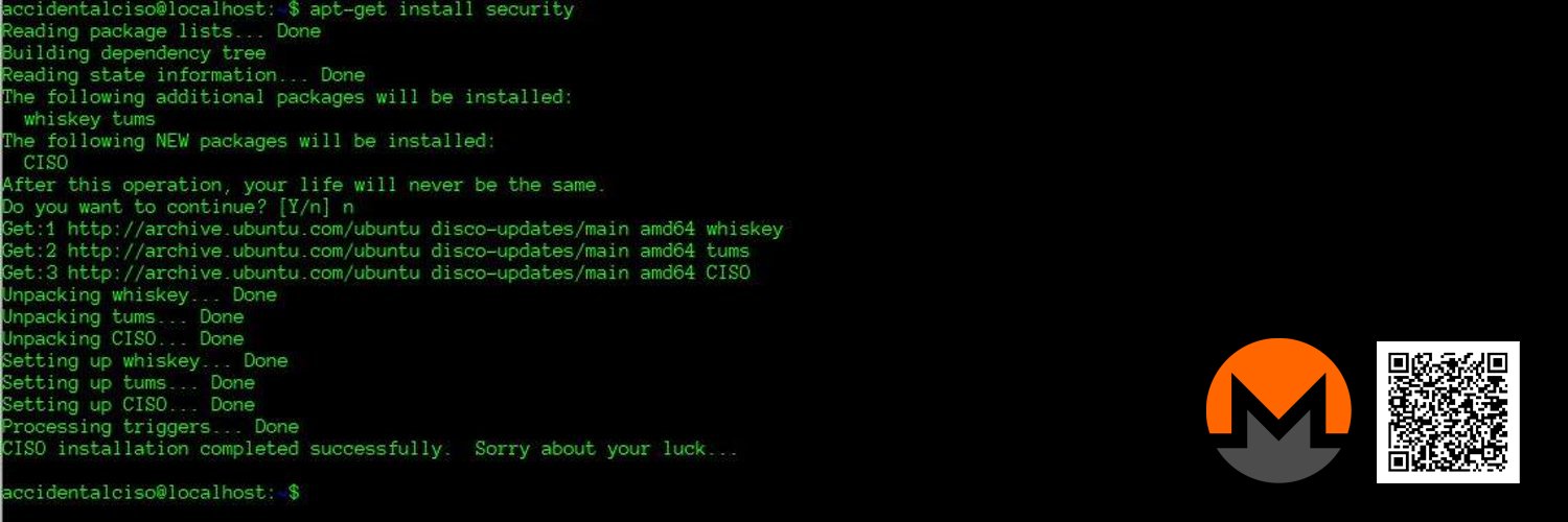 Accidental CISO's banner