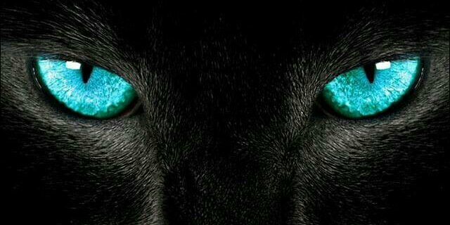 renegade_26's profile banner image