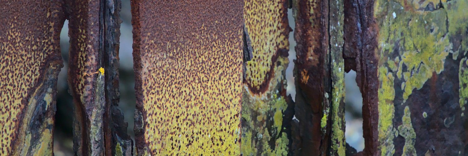 DH 🏴󠁧󠁢󠁥󠁮󠁧󠁿 🇬🇧 banner