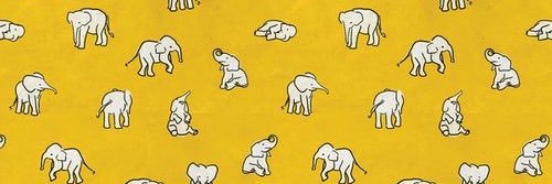 sansandya's profile banner image