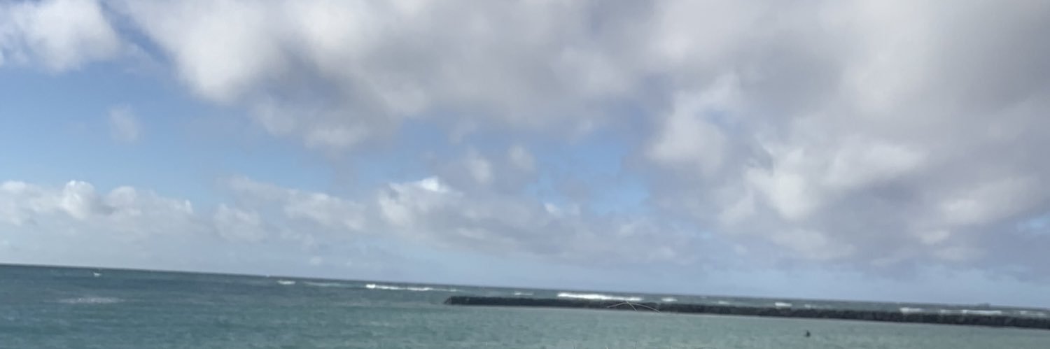 pechrissy2019's profile banner image