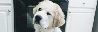 ABroflake's profile banner image