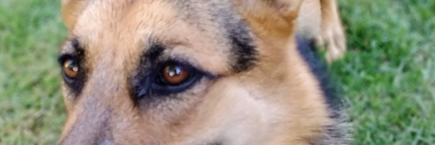 Alex_Bsltt's profile banner image