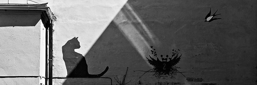 kulturaskoledza's profile banner image