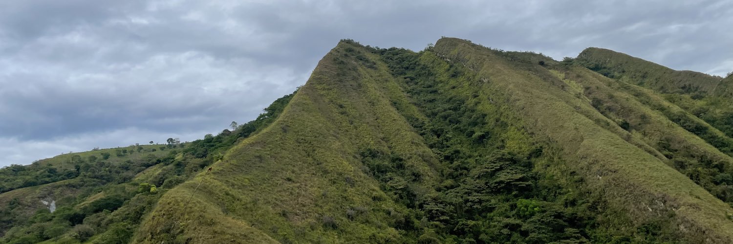 CamiloPardoQ22's profile banner image