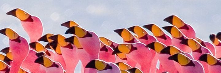 kosankeisan's profile banner image