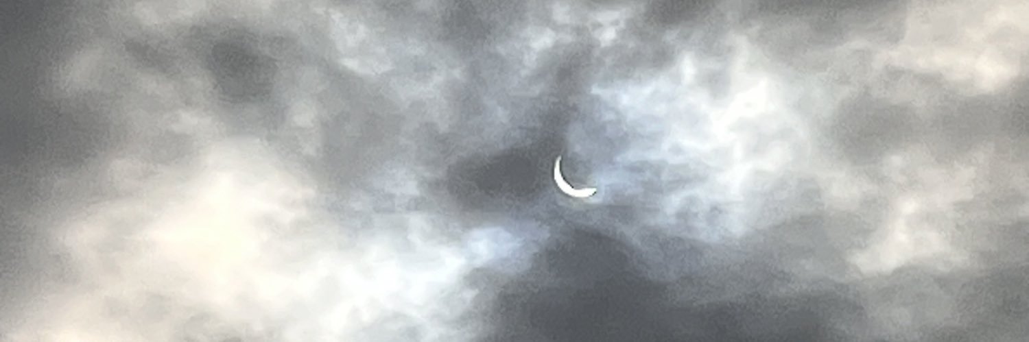 spittycrickets 🦗 banner