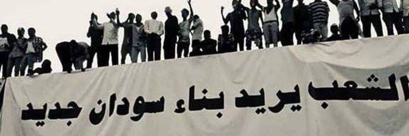 Selma Nour banner