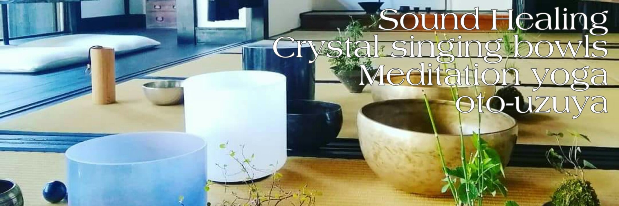 yogataeco's profile banner image