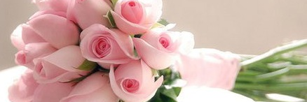 al_asaal's profile banner image