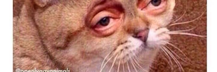 852 420 banner