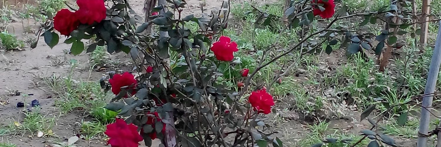 HariKumar0506's profile banner image