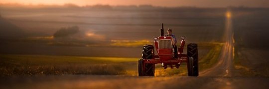 Tuscadaryl's profile banner image