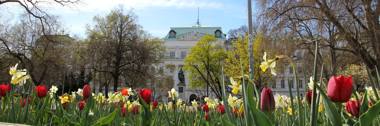 TU Wien Profile Banner