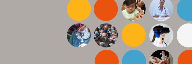 Centre for Healthcare Innovation Research's banner