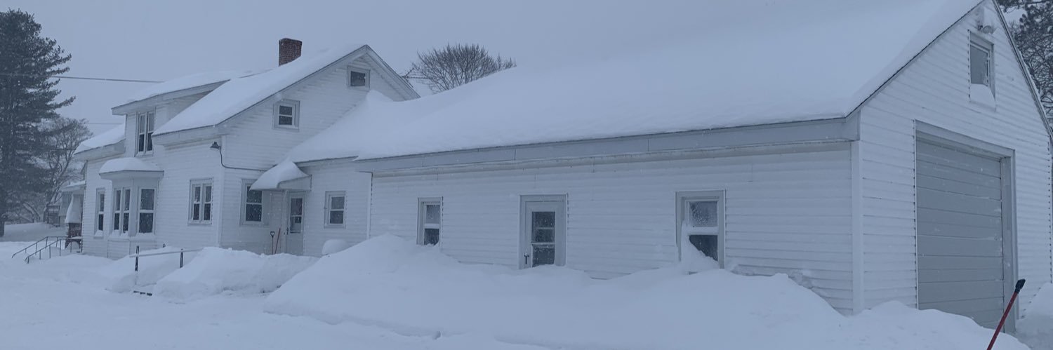 Daniel Rohrmiller banner