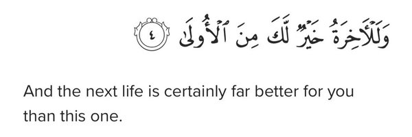 officialumar01 Profile Banner