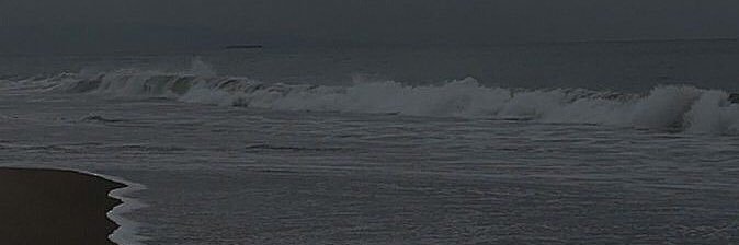 oli banner