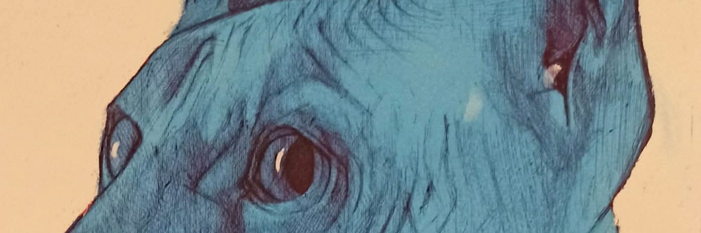 SaviRoberto's profile banner image