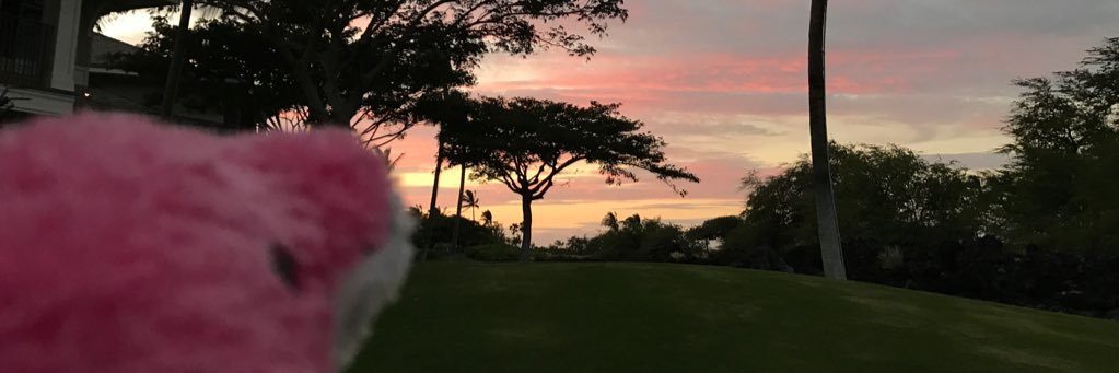 riapon's profile banner image