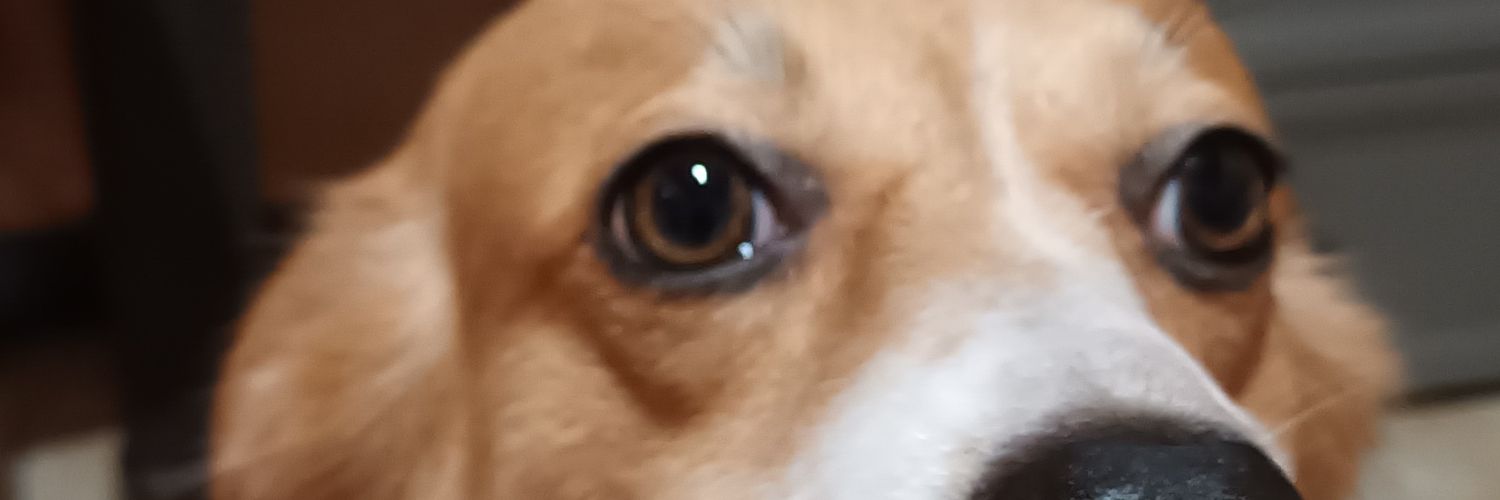 ateeeeIcel's profile banner image