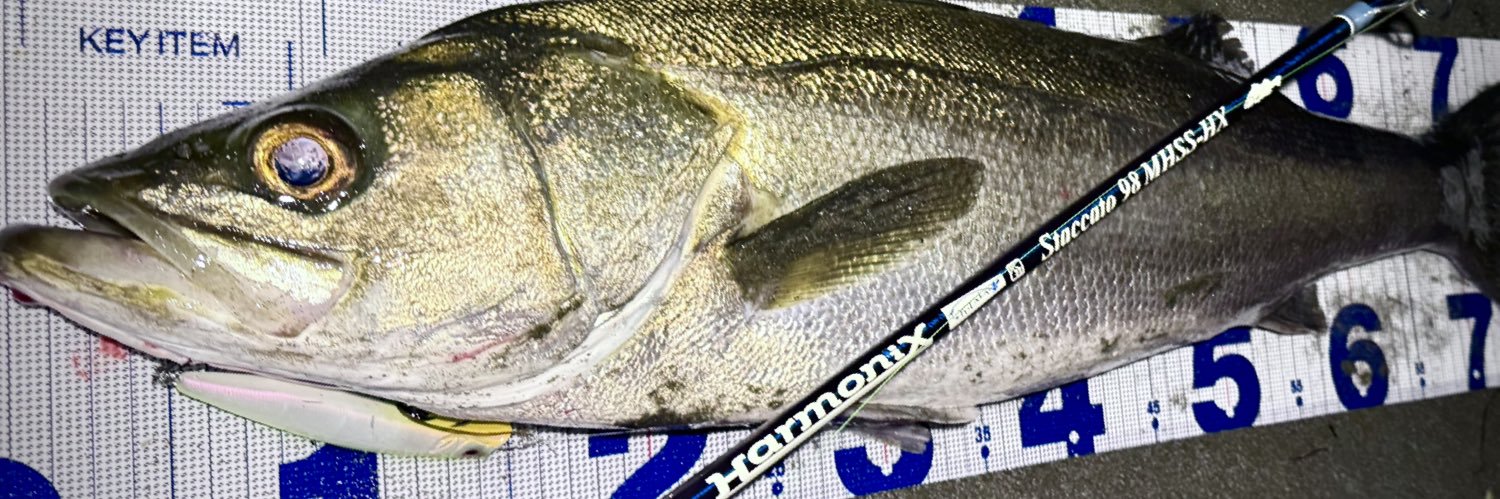 non_fishing's profile banner image