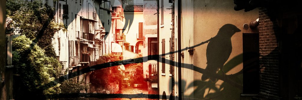 _dehaze banner