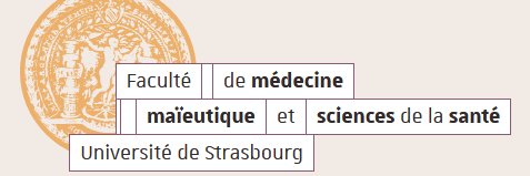DMGStrasbourg's profile banner image