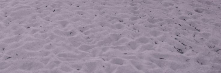 ❥ 𝙅𝙚𝙖𝙣 𝙞𝙞 banner