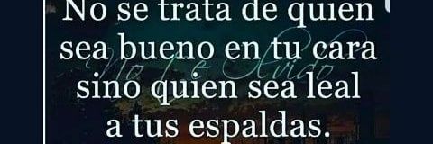 Tiafacha 🍃🌹🍃 banner