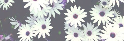 KiranNurul's profile banner image