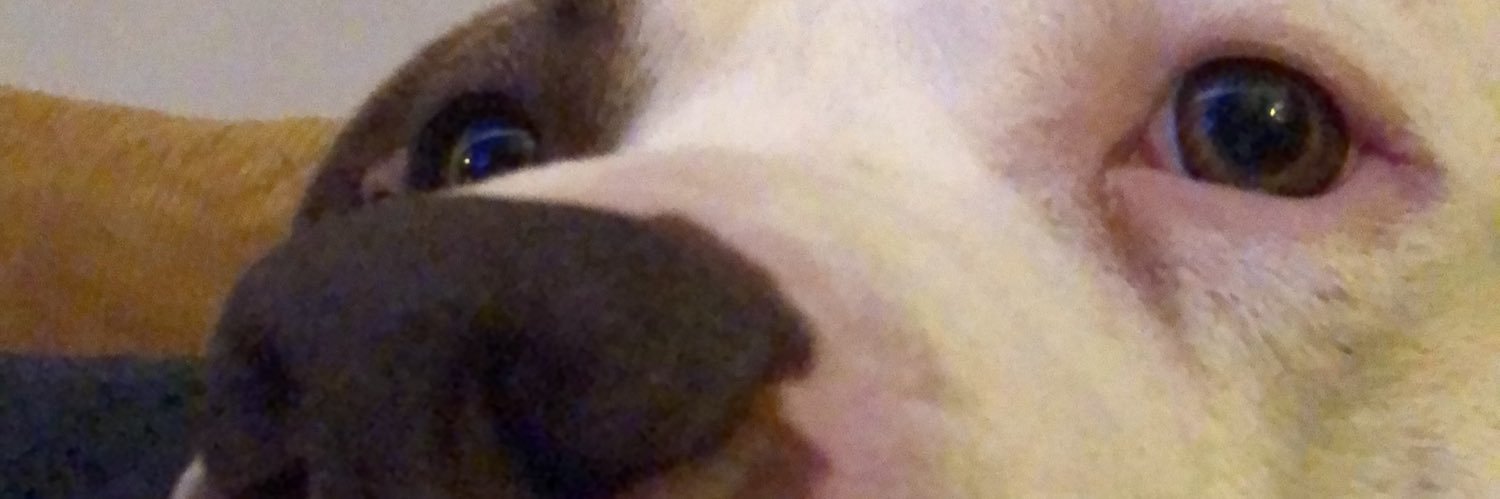coachdancad's profile banner image