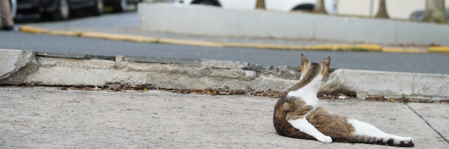Jinitzail Hernández banner