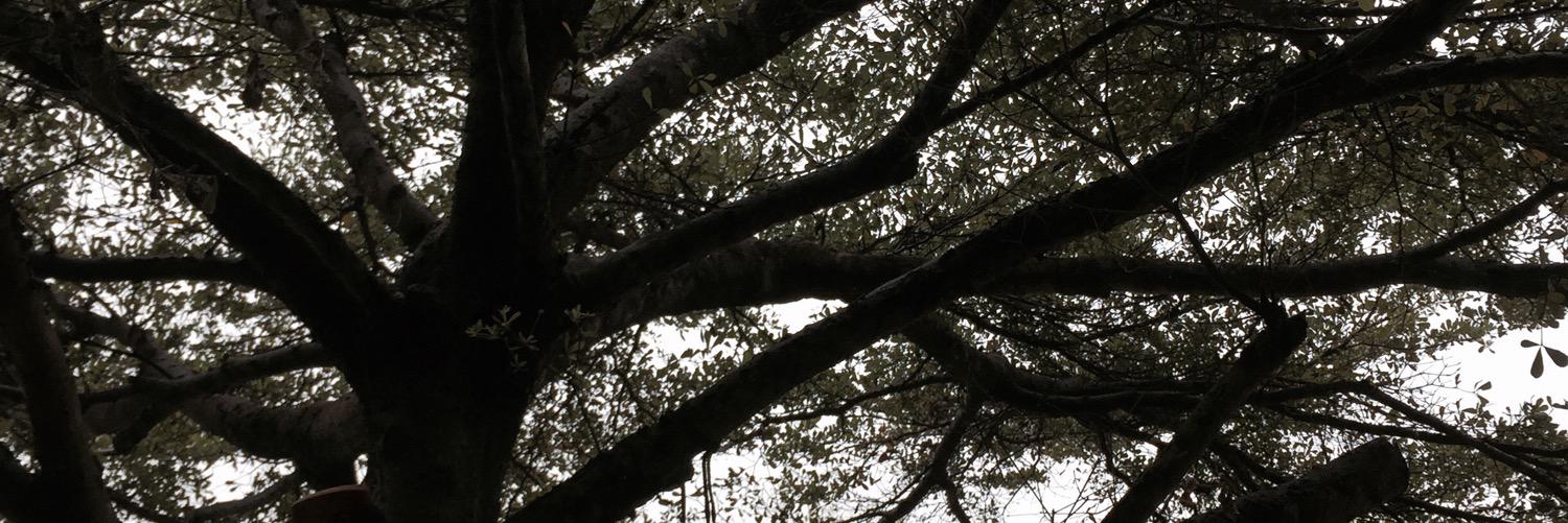 primcd47's profile banner image