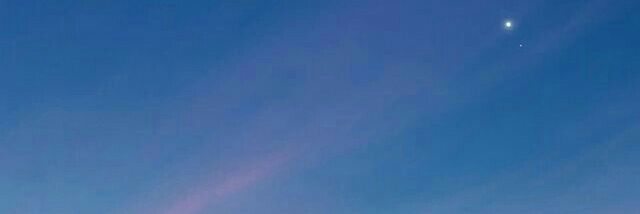dxndz banner