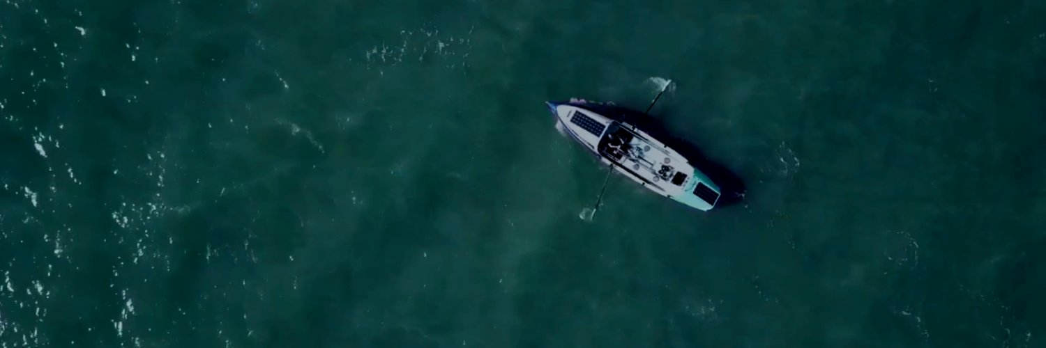 The Seablings banner