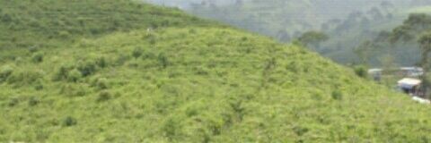 nikent_e's profile banner image