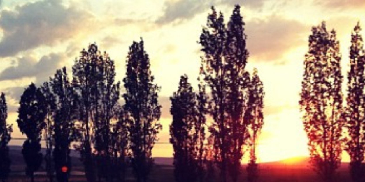 marcoale95's profile banner image