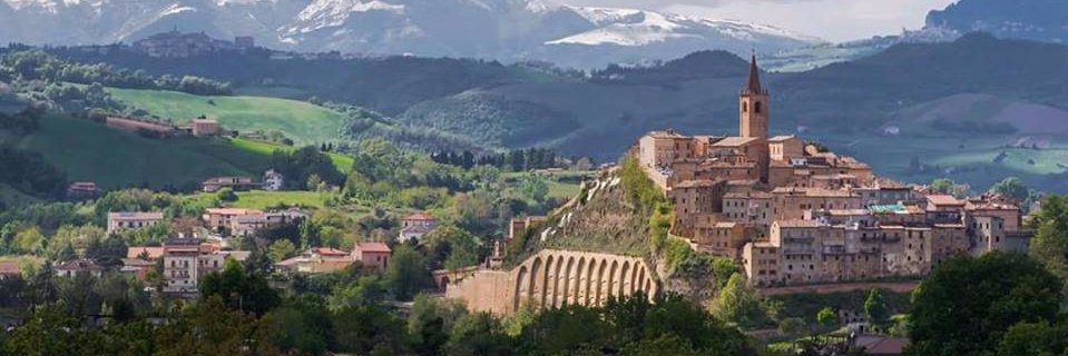 William Pregentelli banner