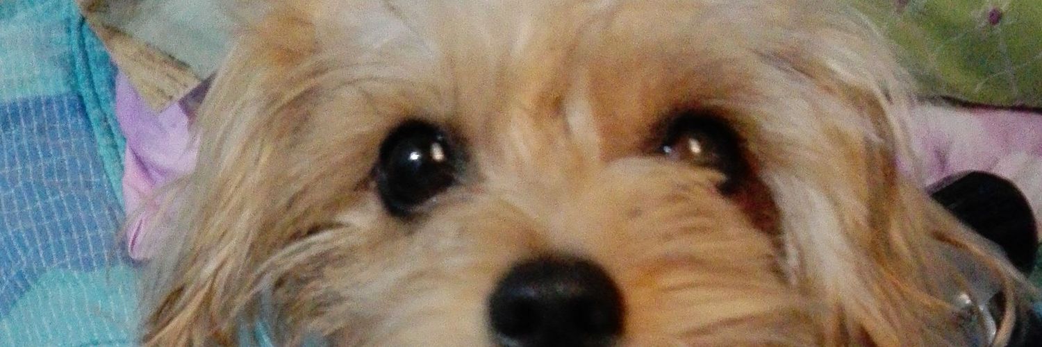 esoesmioo's profile banner image