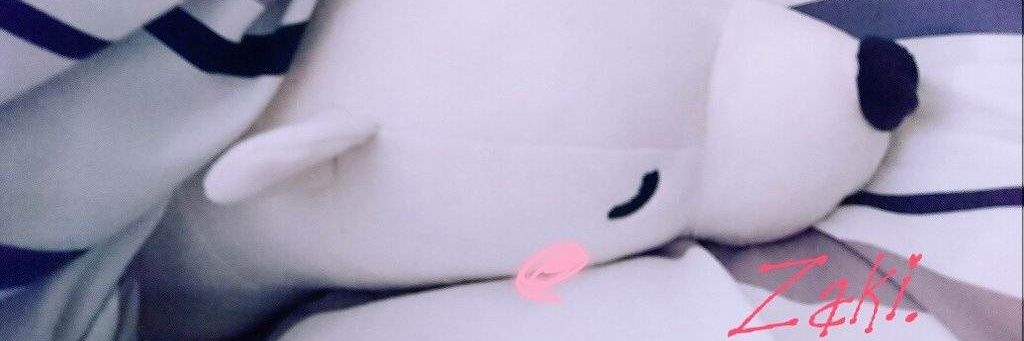Zakin_nu_69's profile banner image
